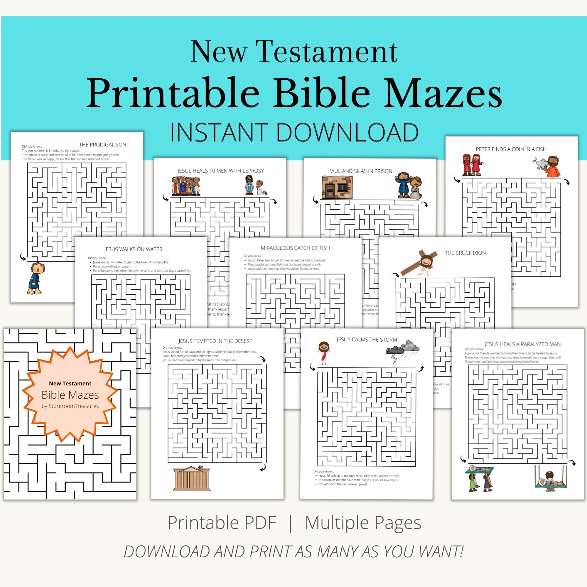 Maze Puzzle Book New Testament Storeroom Treasures
