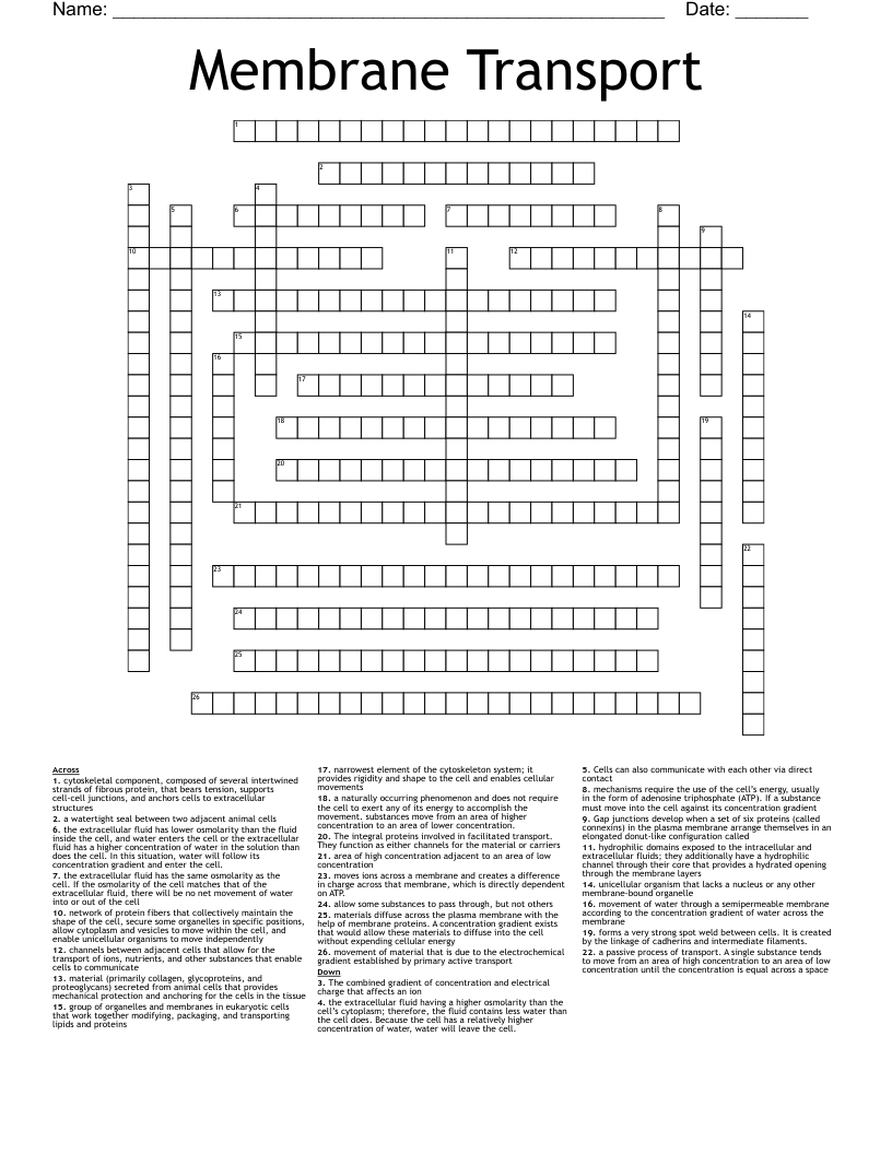 Membrane Transport Crossword WordMint Membrane Transport Crossword WordMint