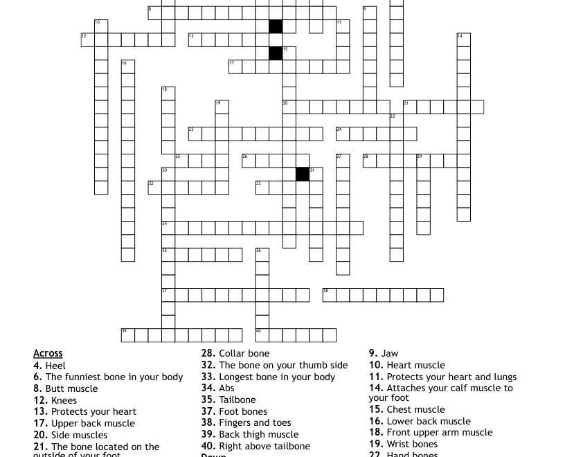 Muscles And Bones Crossword WordMint