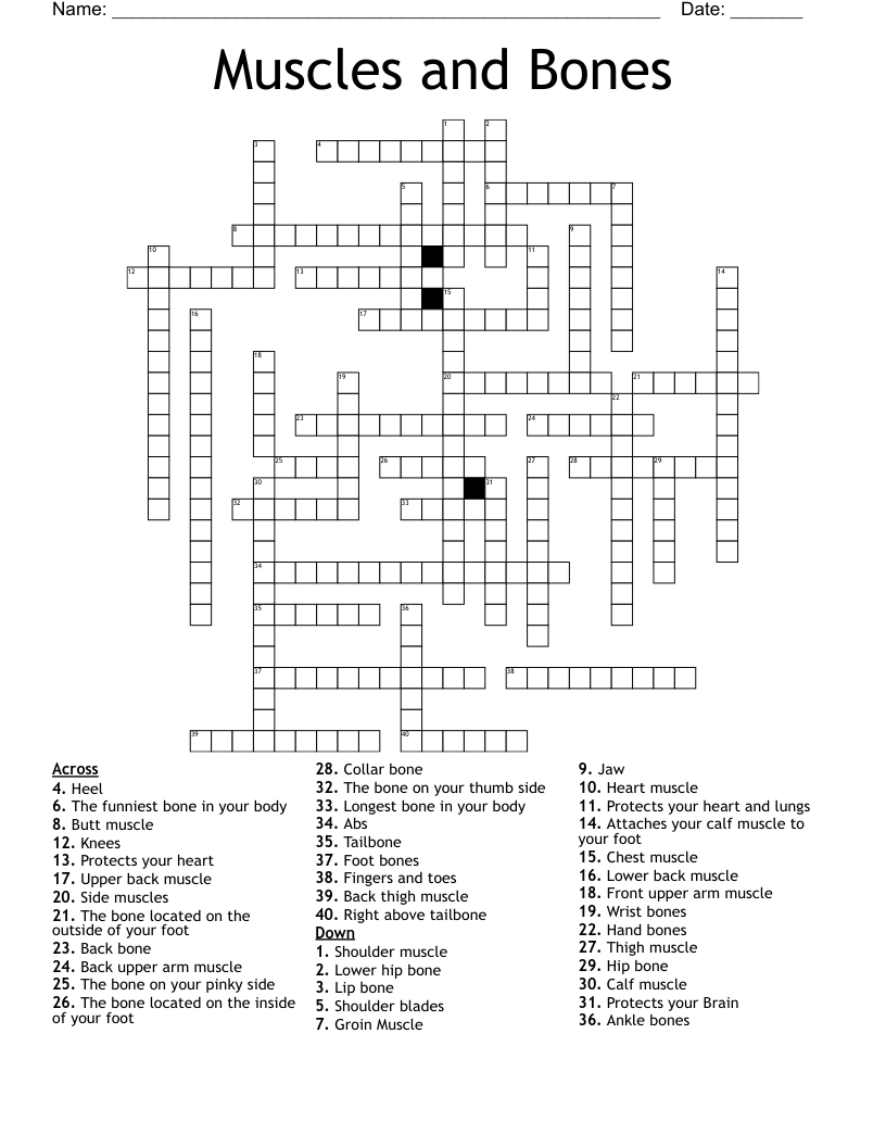 Muscles And Bones Crossword WordMint Muscles And Bones Crossword WordMint