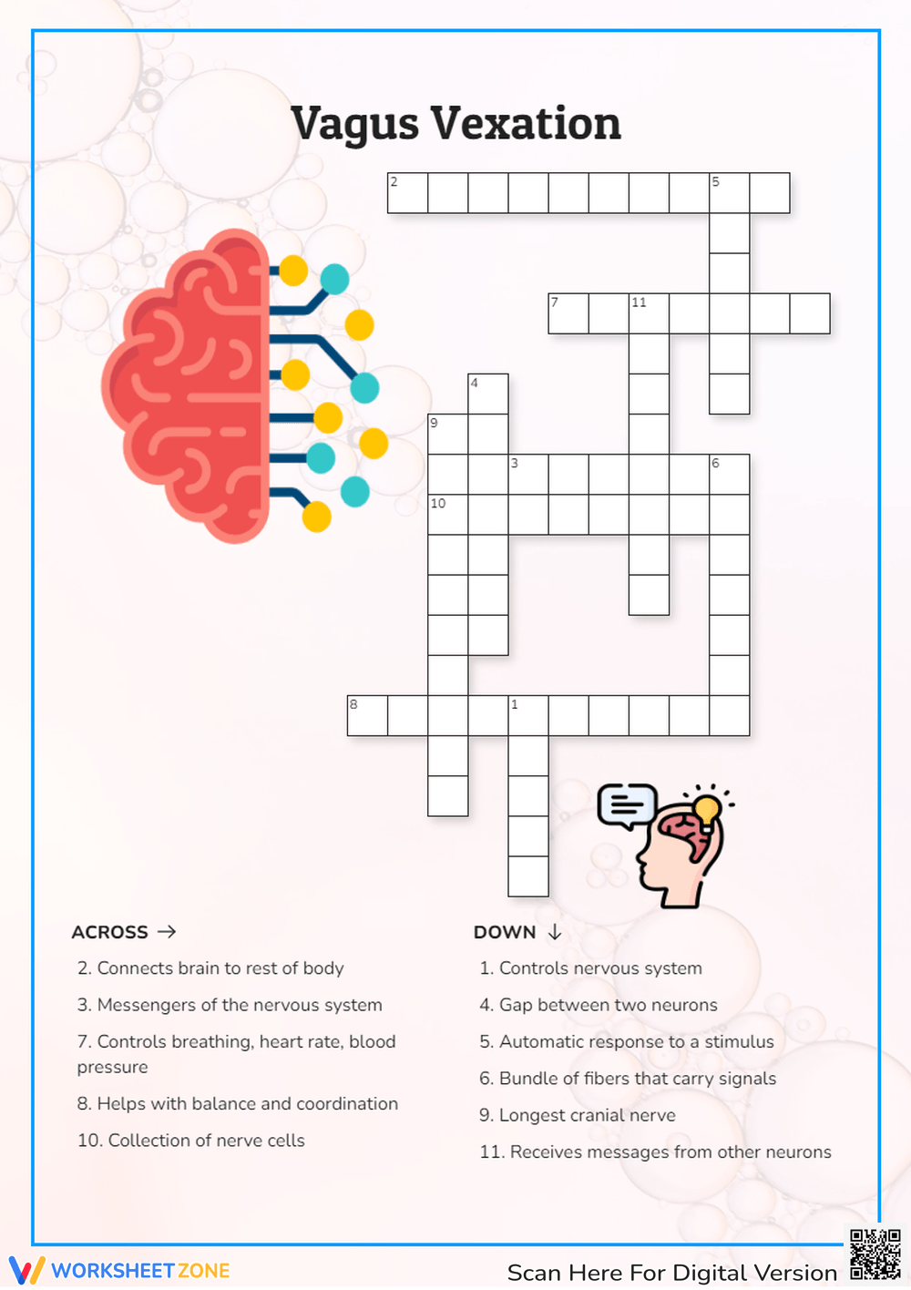 Nervous System Worksheets Nervous System Worksheets