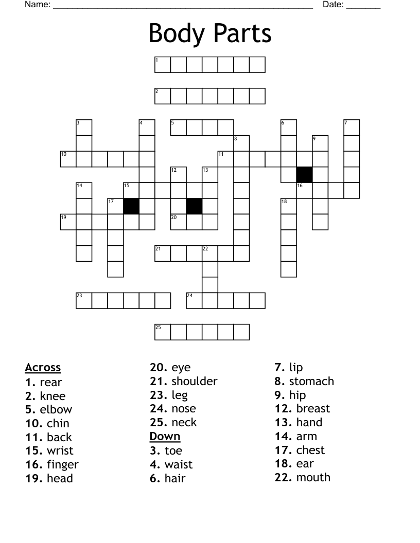 Parts Of The Body Crossword WordMint Parts Of The Body Crossword WordMint