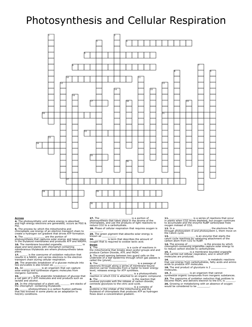 Photosynthesis And Cellular Respiration Crossword Puzzle Answer Key Personalized Elf Sellers Puzzle Photosynthesis And Cellular Respiration Crossword Puzzle Answer Key Personalized Elf Sellers Puzzle