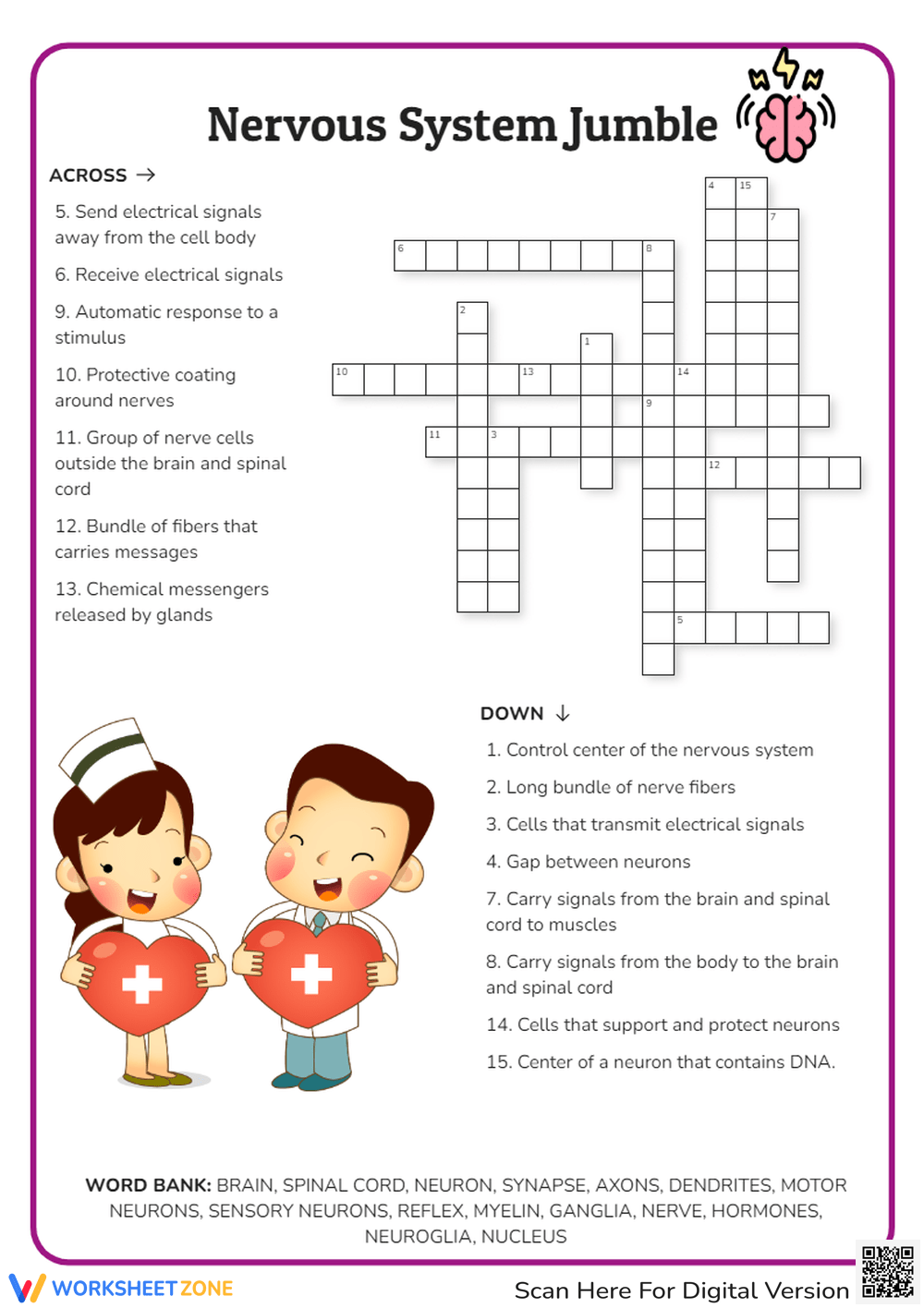 Nervous System Crossword Puzzle Printable Nervous System Crossword Puzzle Printable
