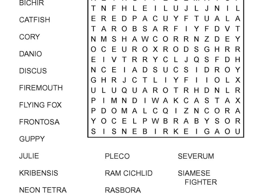 Puzzle Books For Adults Bulk ZOCO Large Print Puzzle Books 25 Pack Word Search Sudoku Crosswords For Seniors Large Print Crossword Puzzles