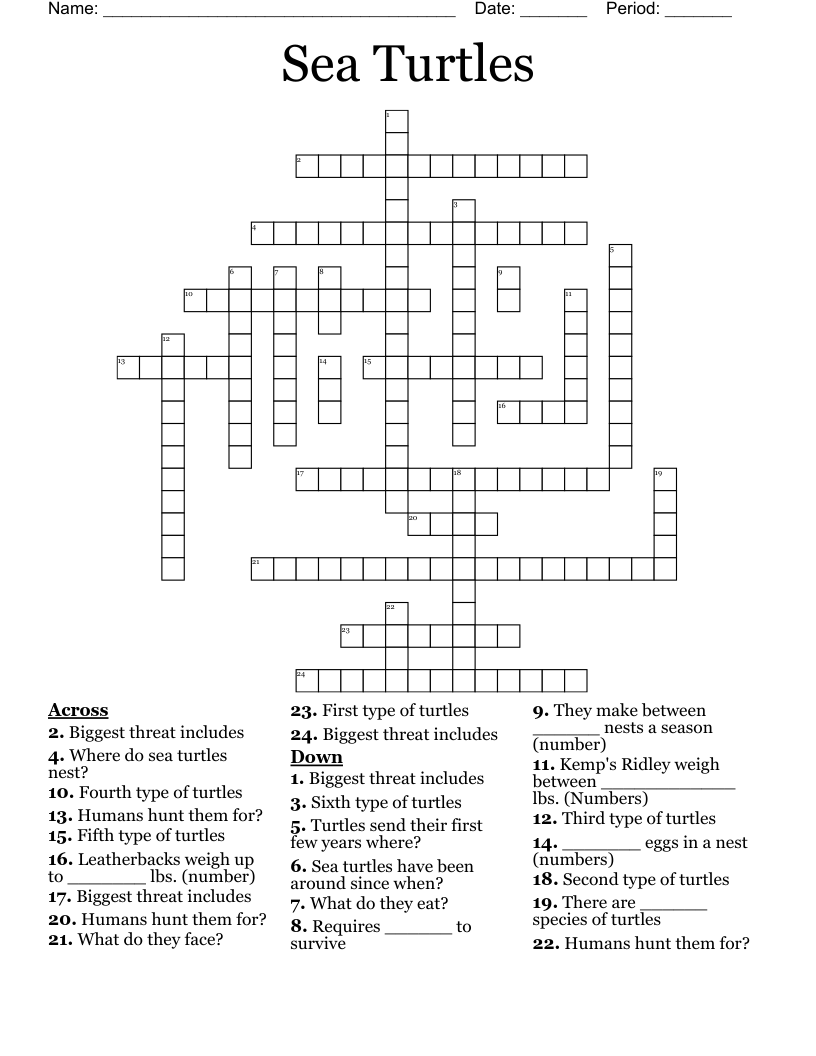 Sea Turtles Crossword WordMint Sea Turtles Crossword WordMint