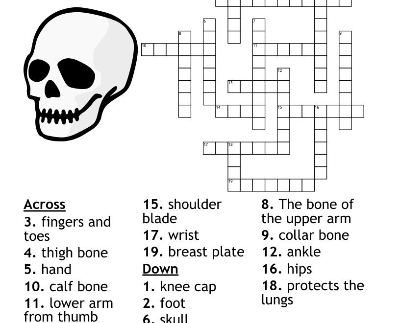 Skeleton Crossword WordMint