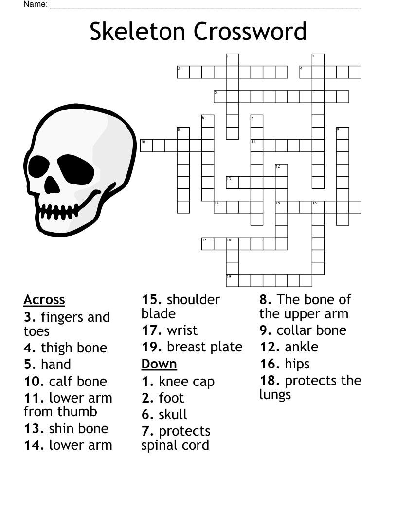 Skeleton Crossword WordMint Skeleton Crossword WordMint