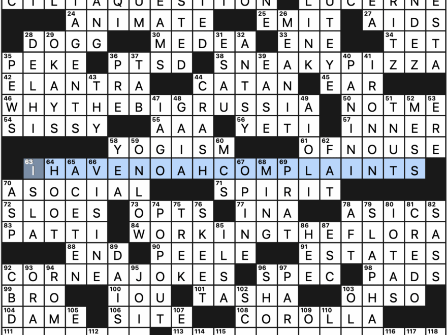 Sunday July 14 2024 Diary Of A Crossword Fiend