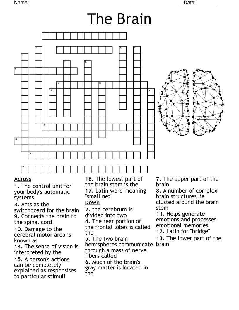 The Brain And Nervous System Crossword WordMint The Brain And Nervous System Crossword WordMint
