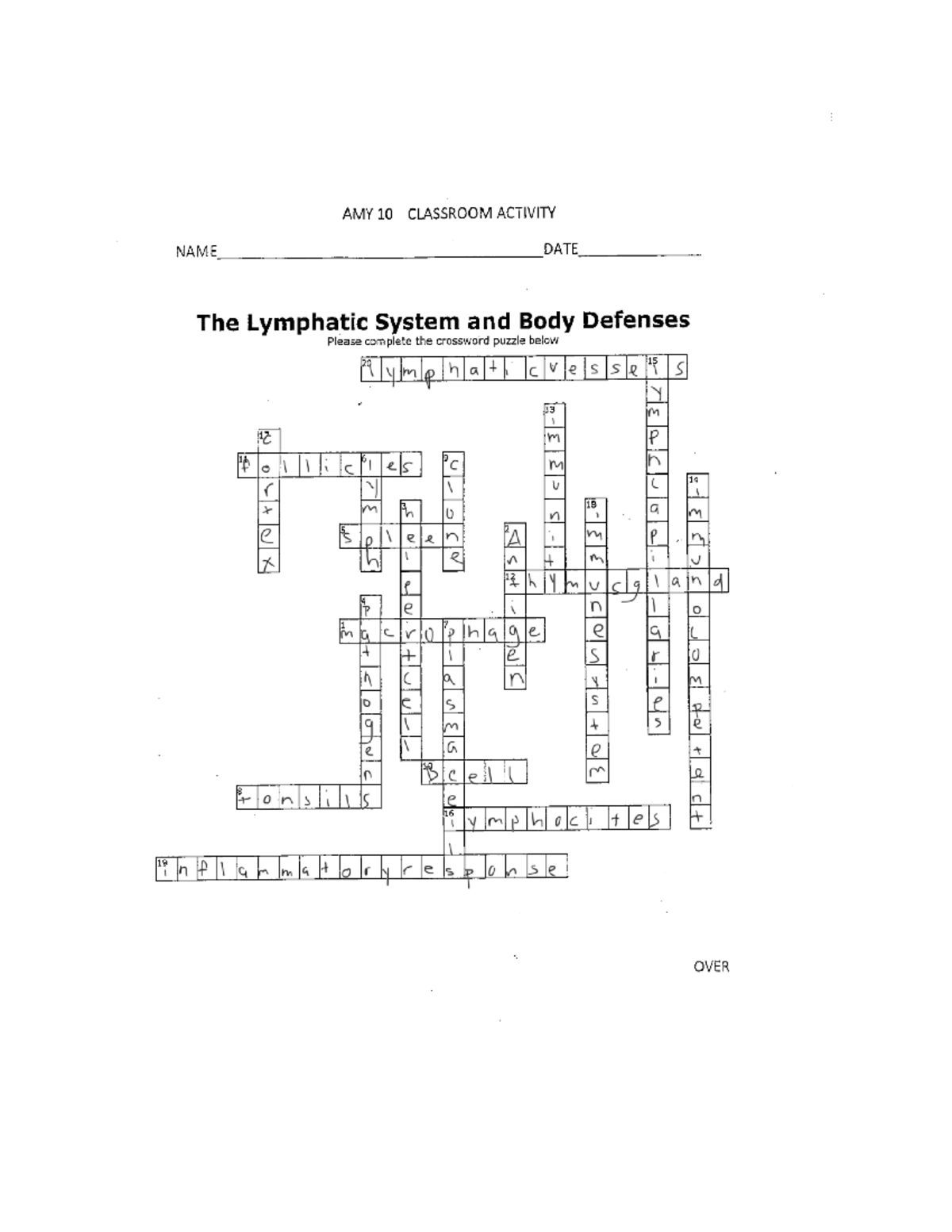Urinary Crossword Printable Urinary Crossword Printable