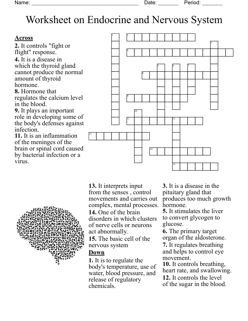 Worksheet On Endocrine And Nervous System Crossword WordMint Worksheet On Endocrine And Nervous System Crossword WordMint