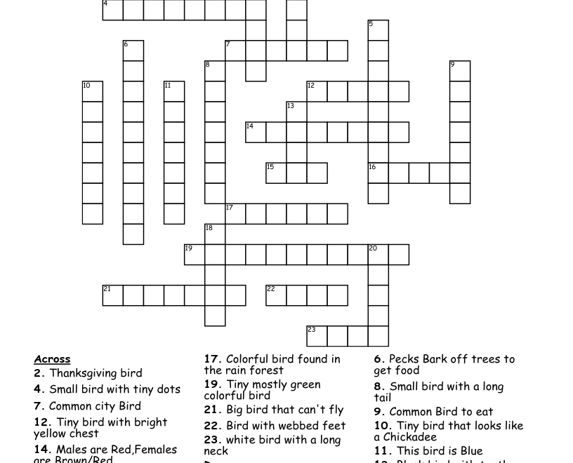 Birds Crossword WordMint