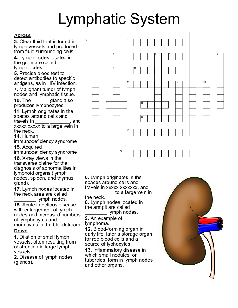 Blood Crossword Puzzle WordMint Blood Crossword Puzzle WordMint