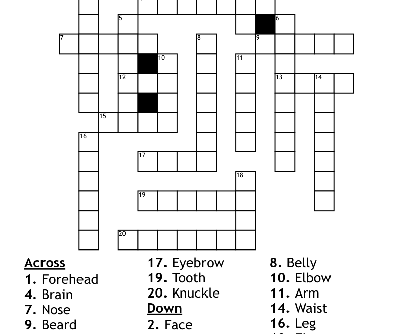 Body Parts Crossword WordMint