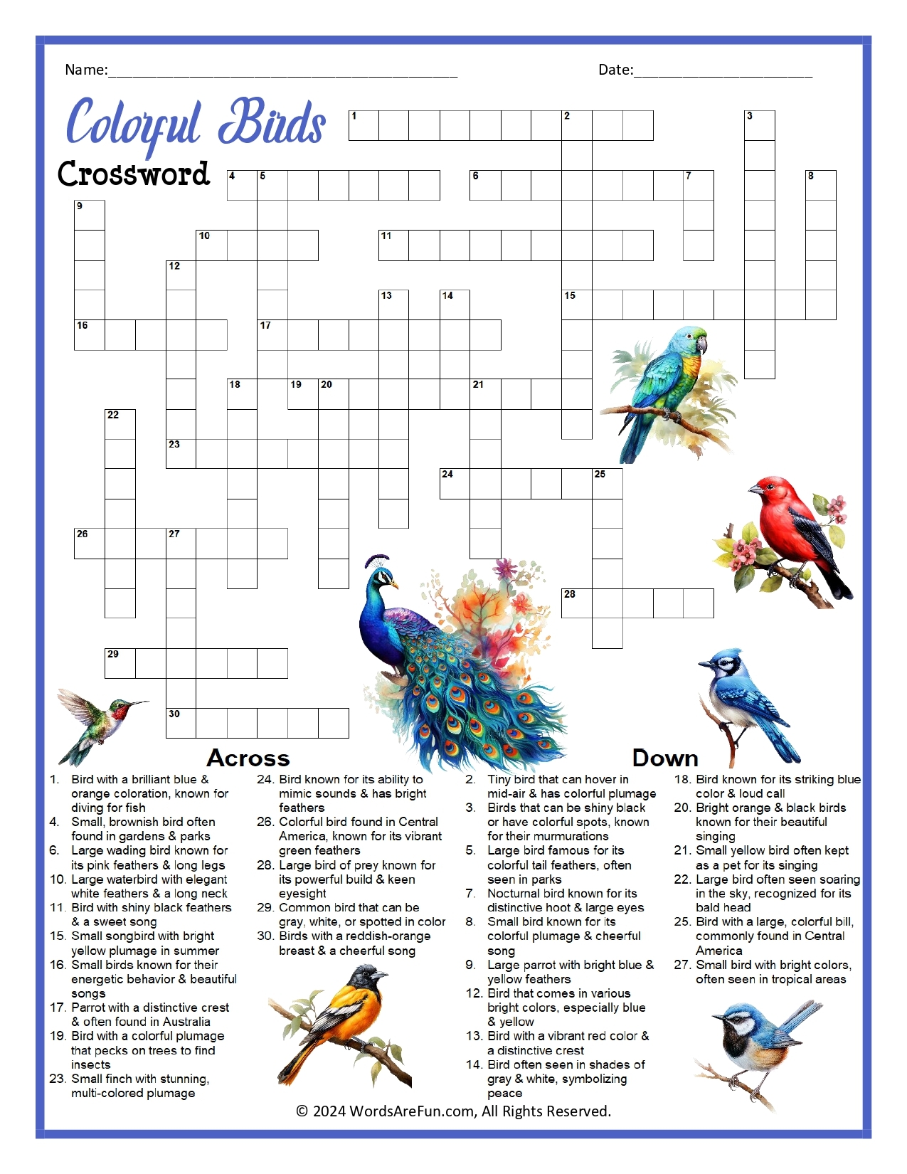 Colorful Birds Crossword Puzzle Colorful Birds Crossword Puzzle