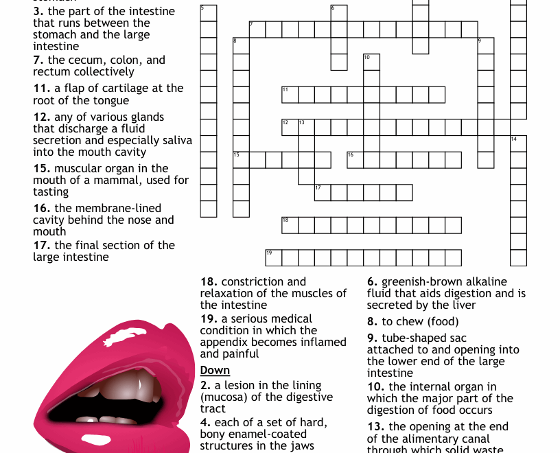 General Knowledge Crossword WordMint