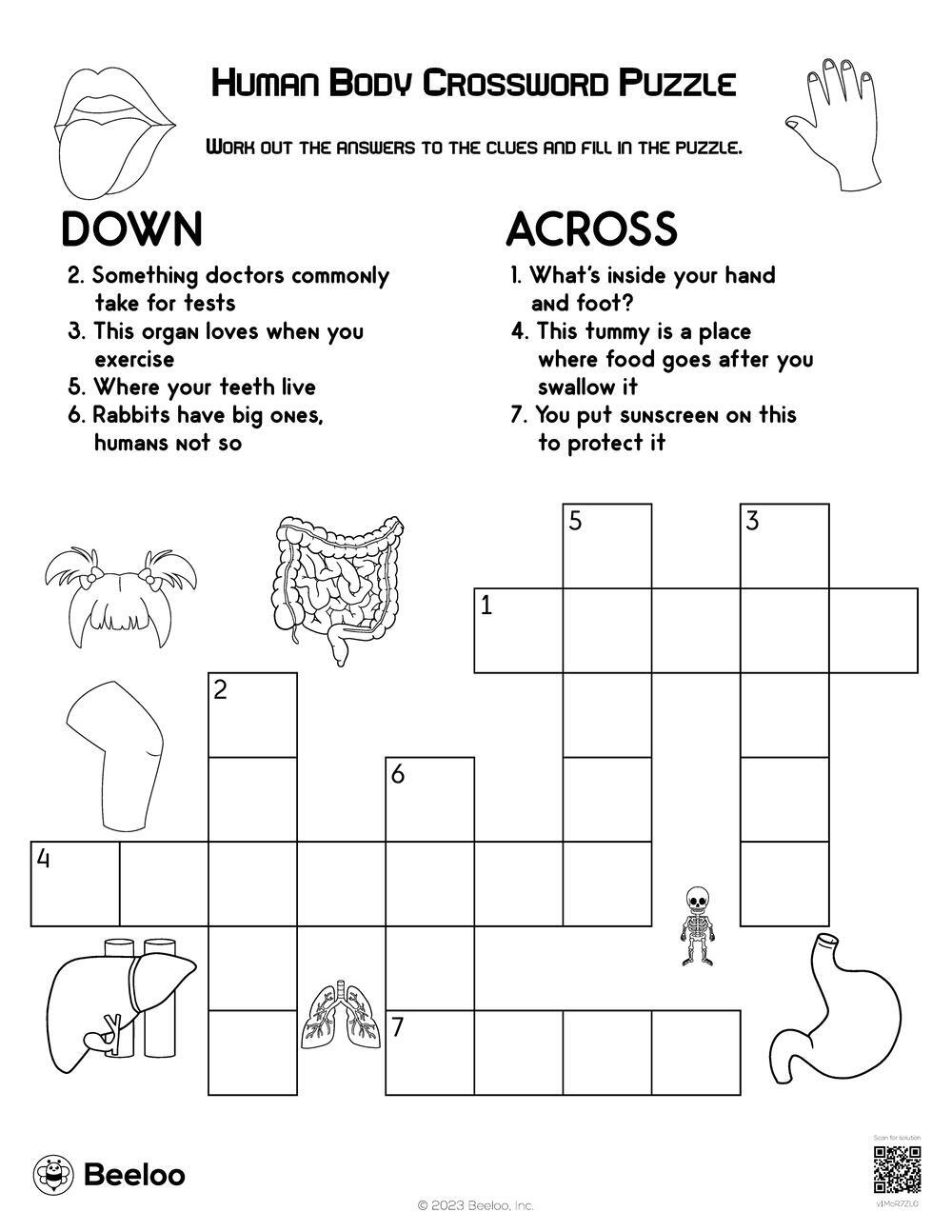 Human Body Crossword Puzzle Beeloo Printable Crafts And Activities For Kids