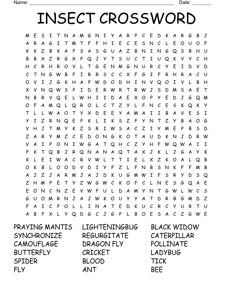 INSECT CROSSWORD Word Search WordMint