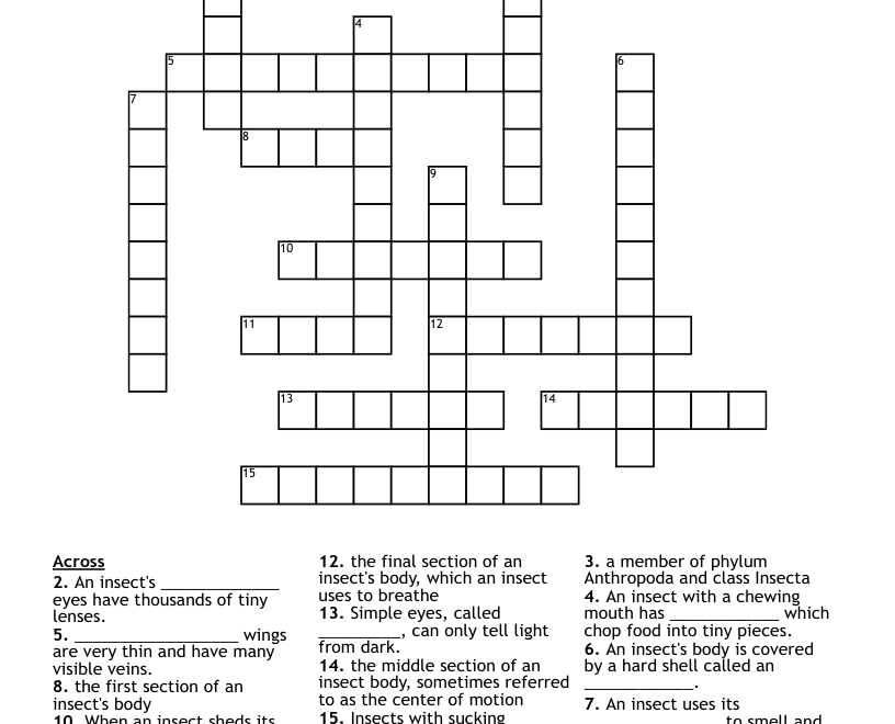Insects Crossword WordMint