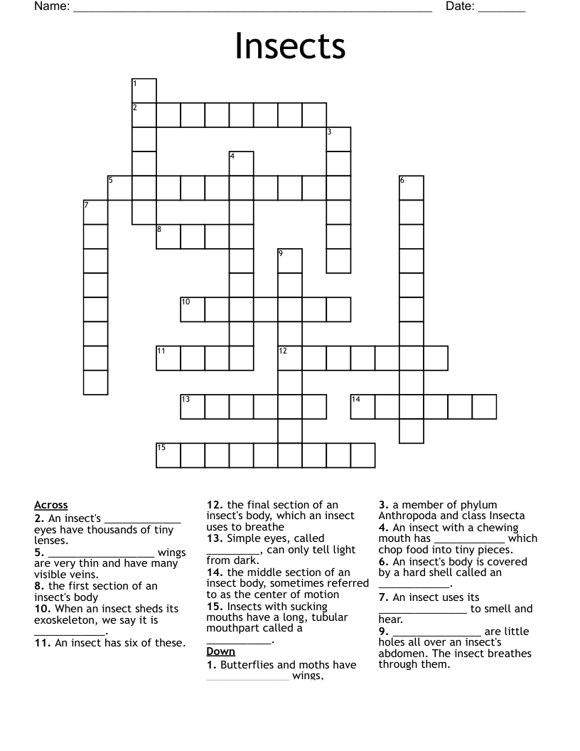 Insects Crossword WordMint