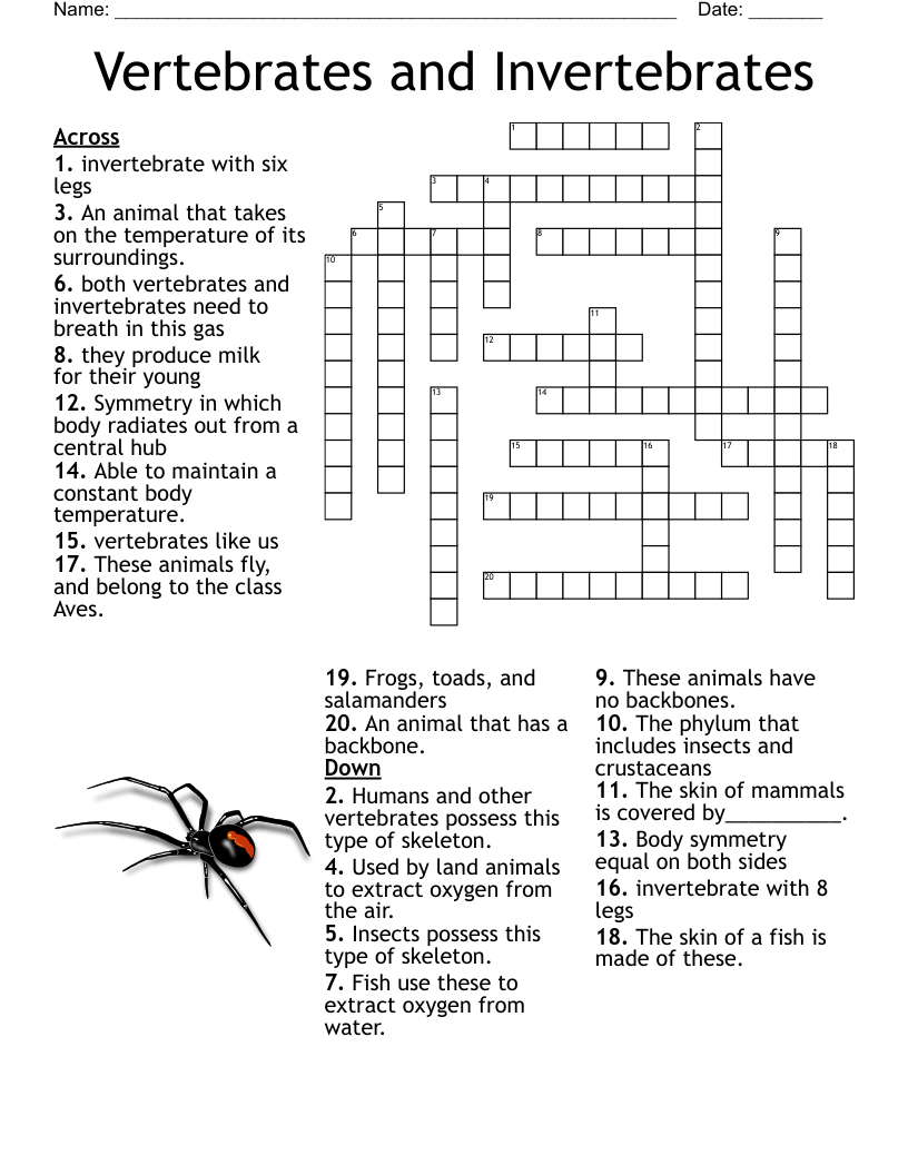 Insects Crossword WordMint