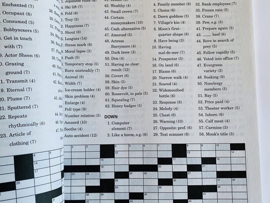 Lot Of 3 DOUBLE TROUBLE Penny Press Selected Puzzles DELL Variety Crosswords EBay