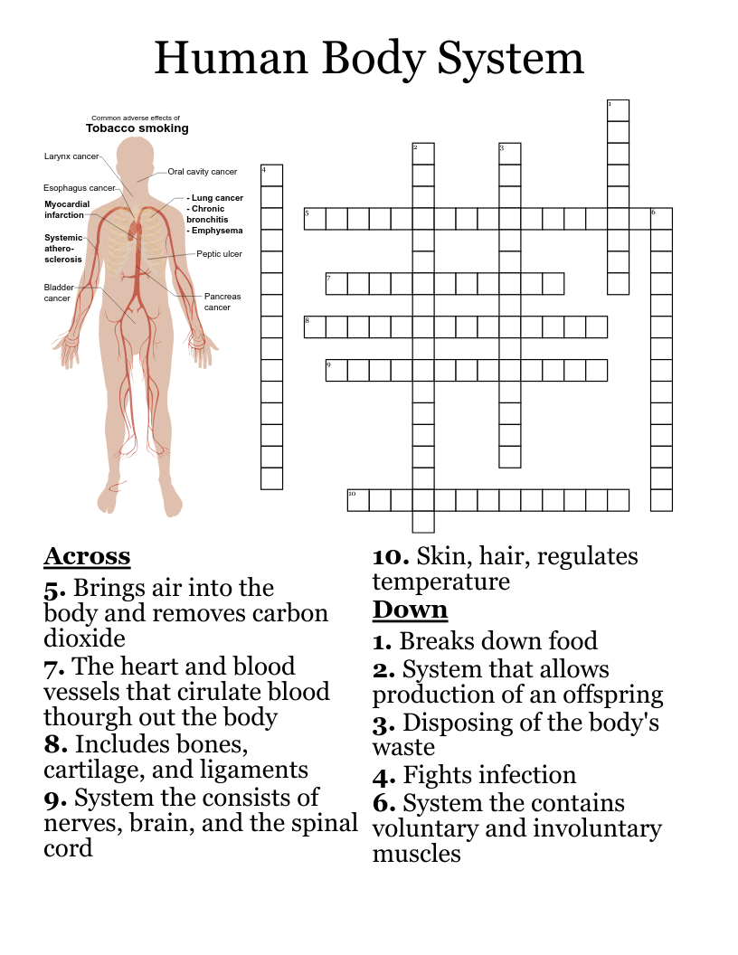 Wounds And Bleeding Crossword WordMint Wounds And Bleeding Crossword WordMint
