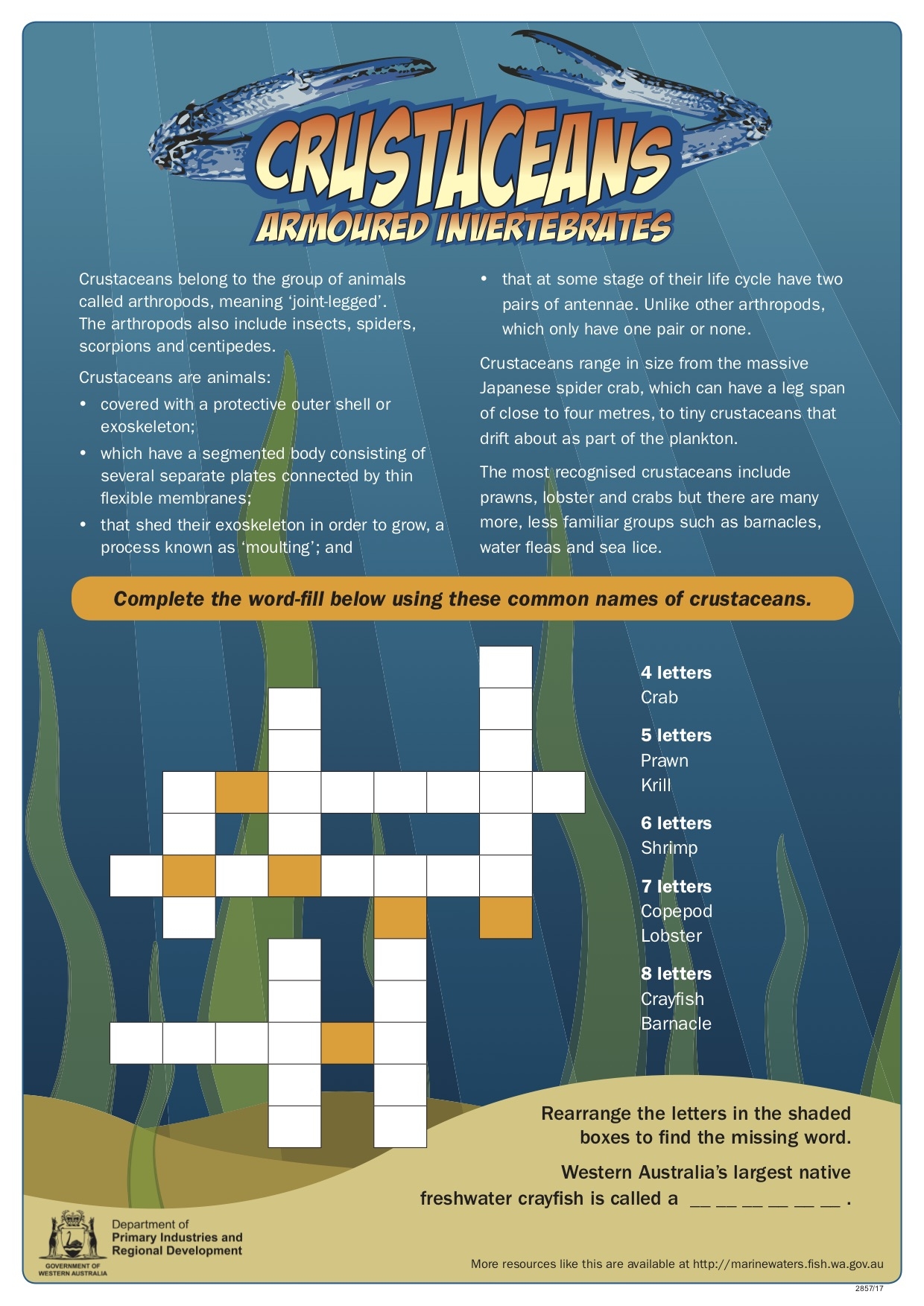Marine Invertebrates Crossword Puzzle Printable