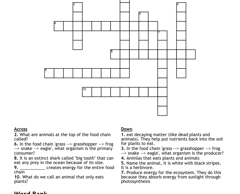 Food Chains Crossword WordMint