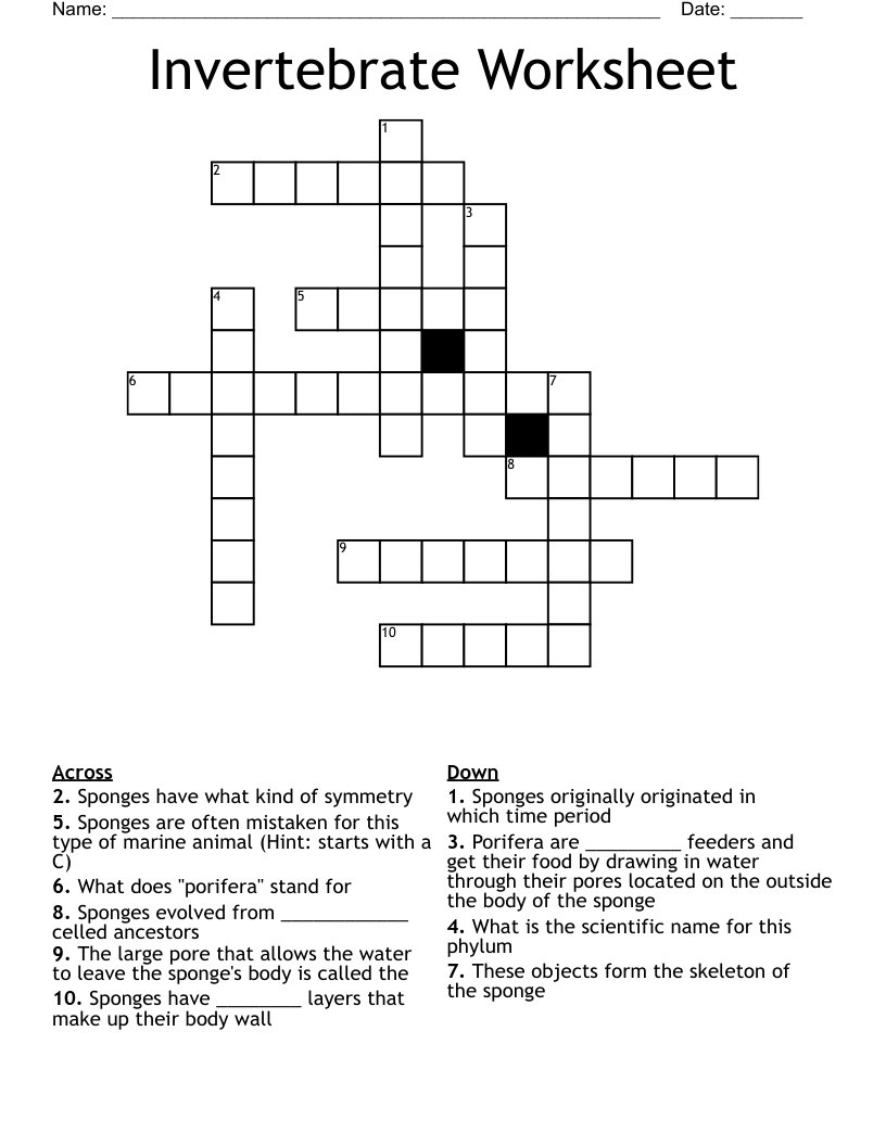 Invertebrate Worksheet Crossword WordMint