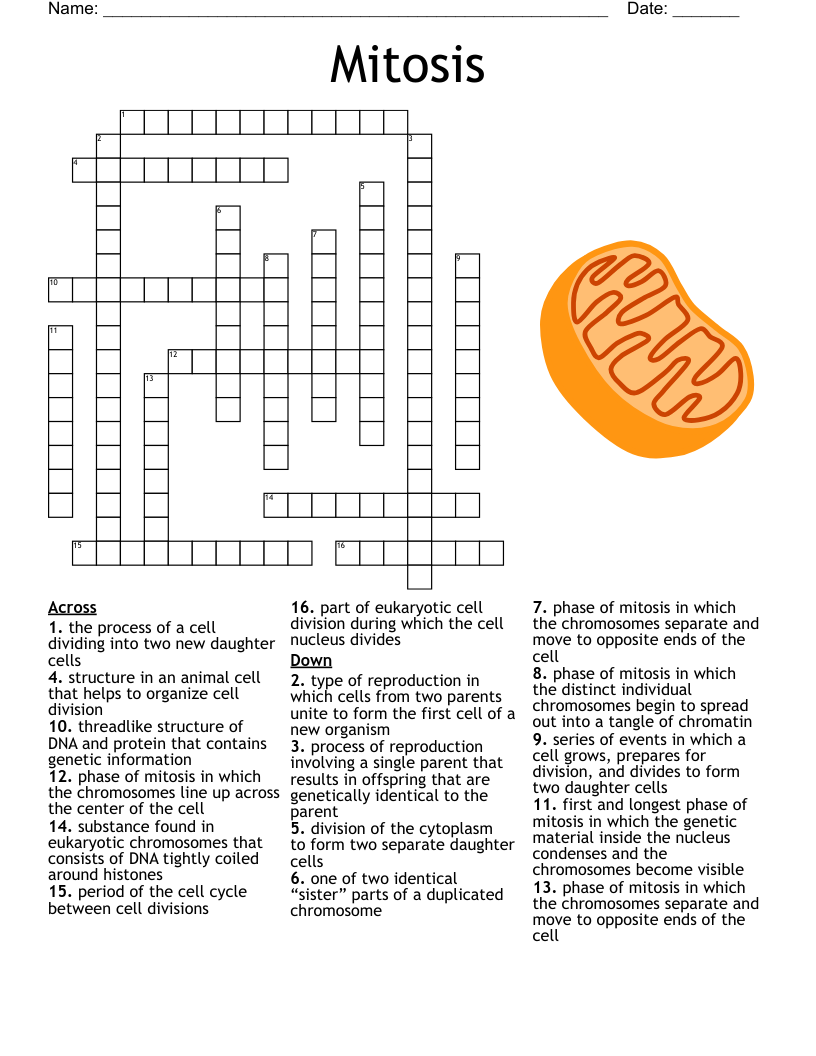 Science 9 Biology Vocab Crossword WordMint
