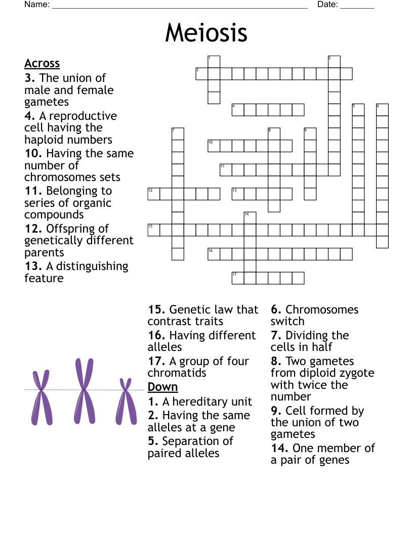 Science 9 Biology Vocab Crossword WordMint