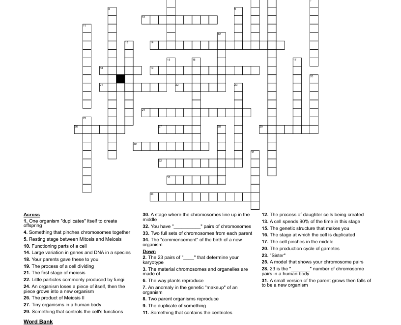Science 9 Biology Vocab Crossword WordMint